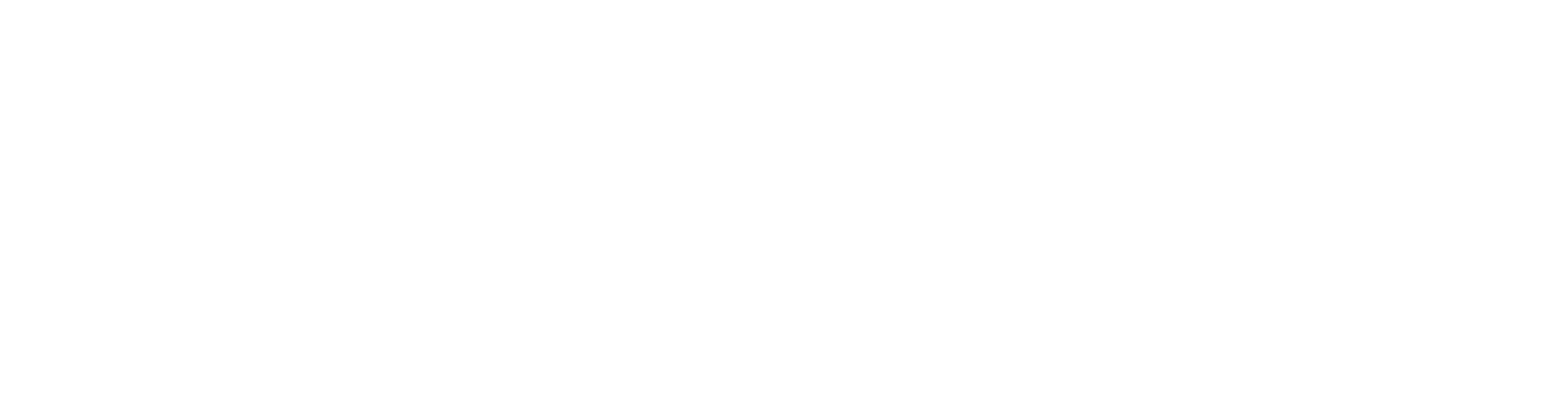 RC Bicycles